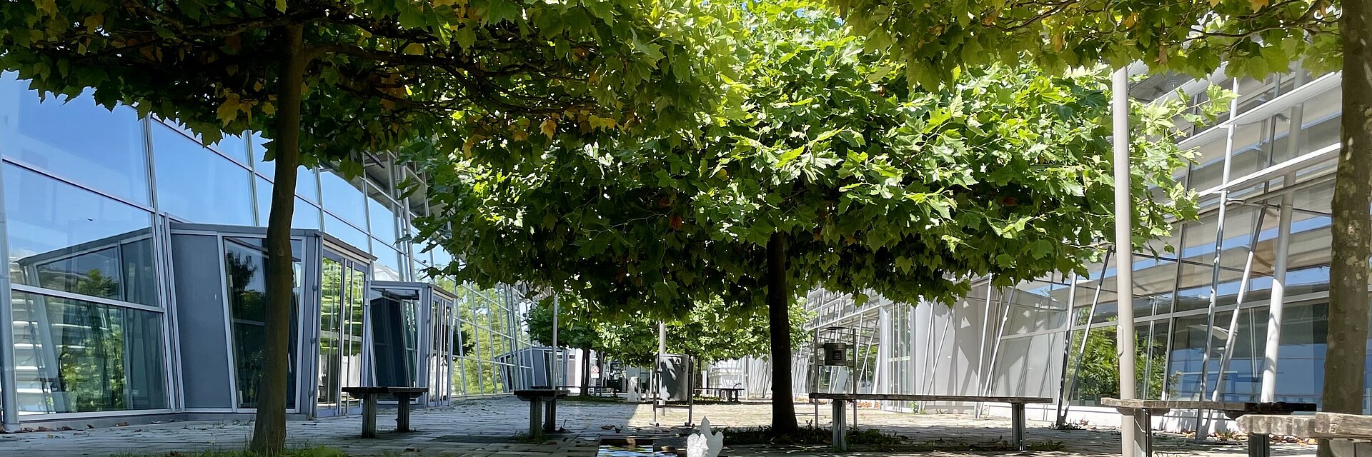 [Translate to English:] Springbrunnen am Campus Rosenheim