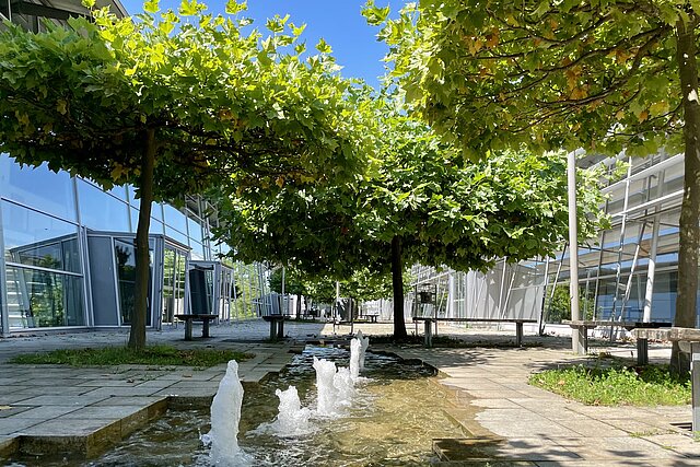 Wasserspiel an der TH Rosenheim am Campus in Rosenheim