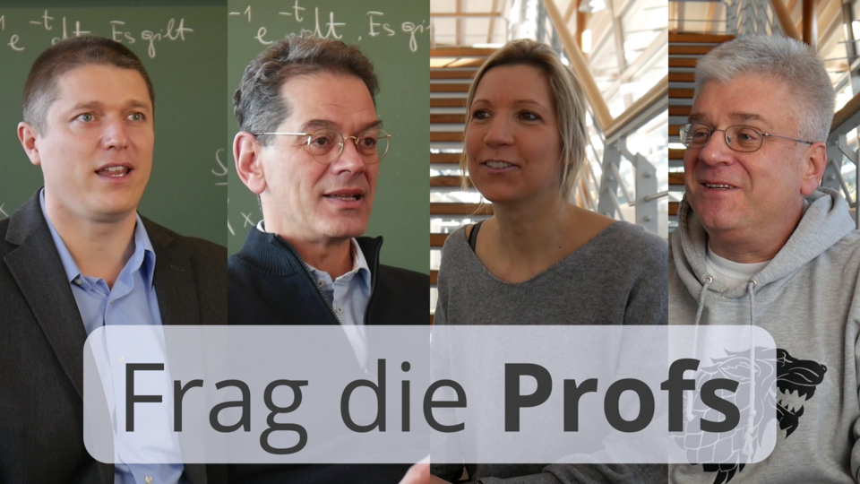 Professoren und Professorin der Wirtschaftsmathematik