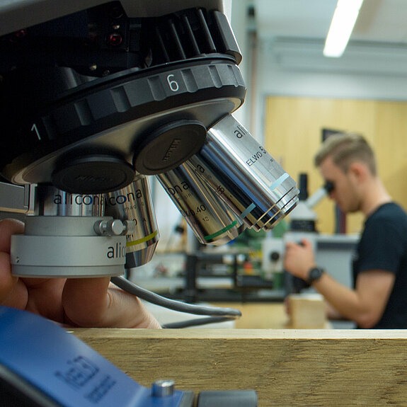 Student betrachtet die Schnittfläche eines Holzwerkstücks unter dem Mikroskop