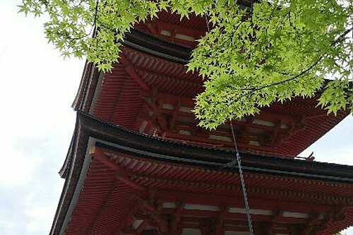 Kyoto, Japan 