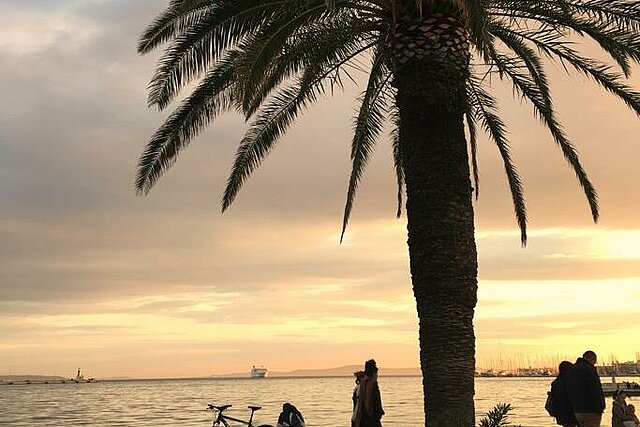Sonnenuntergang mit Palme am Meer