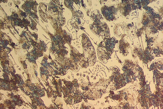 Mikroskopbild weißes Gusseisen