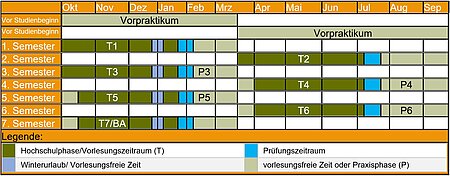 Rosenheimer Studienmodell ohne Praxissemester