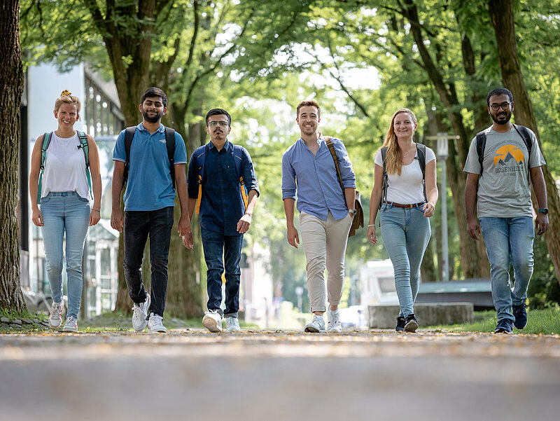 Sechs Studierende laufen nebeneinander eine Baumallee am Campus entlang