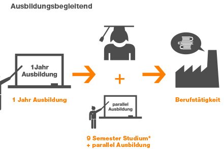 Zeitmodell ausbildungsbegleitendes Bachelorstudium