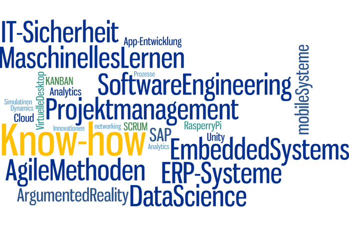 Wortbild zu IT-Know-How