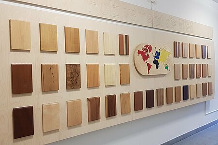 Holzartenwand - interaktives Wandbild