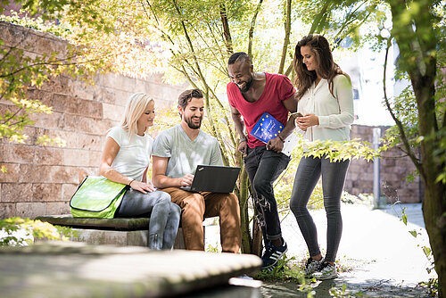 Vier Studierende lernen zusammen im Freien.