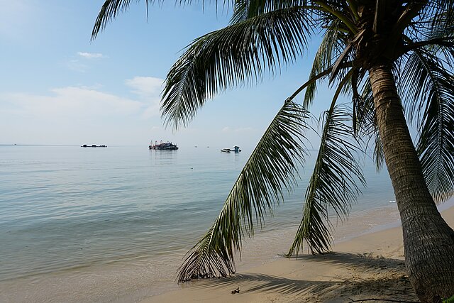 Strand mit Palme in Vietnam