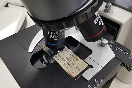Durchlichtmikroskop Motic BA210
