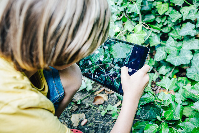 Ein Kind macht mit einem Tablet ein Foto von grünen Gewächsen
