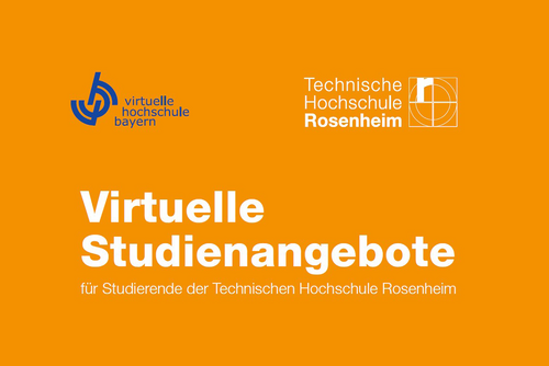 Virtuelle Studienangebote